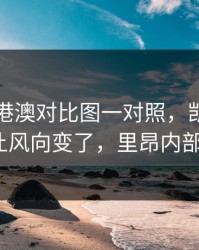 49图库港澳对比图一对照，凯恩赛后一句话让风向变了，里昂内部又起风？
