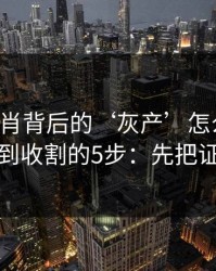 十二生肖背后的‘灰产’怎么运作：从引流到收割的5步：先把证据留好