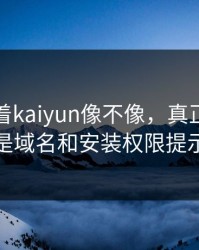 别只盯着kaiyun像不像，真正要看的是域名和安装权限提示