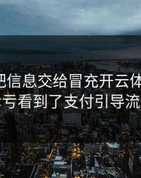 我差点把信息交给冒充开云体育的人，幸亏看到了支付引导流程