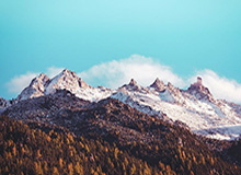 别再上当…华体会风控提示别只看图标和名字…别把验证码交出去